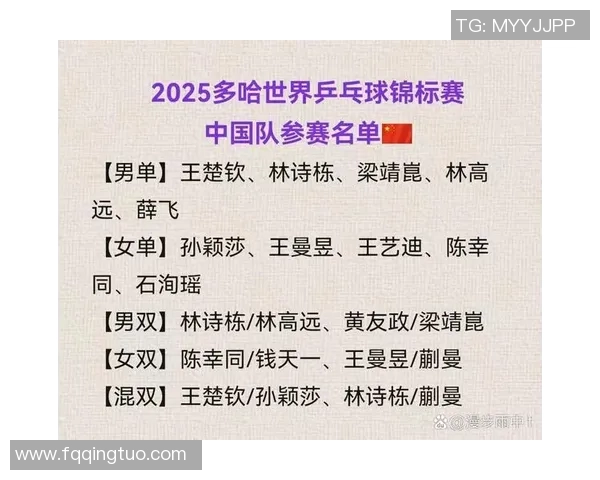 乒乓球战术评比揭晓杭州乒乓球队荣获第二名的背后故事