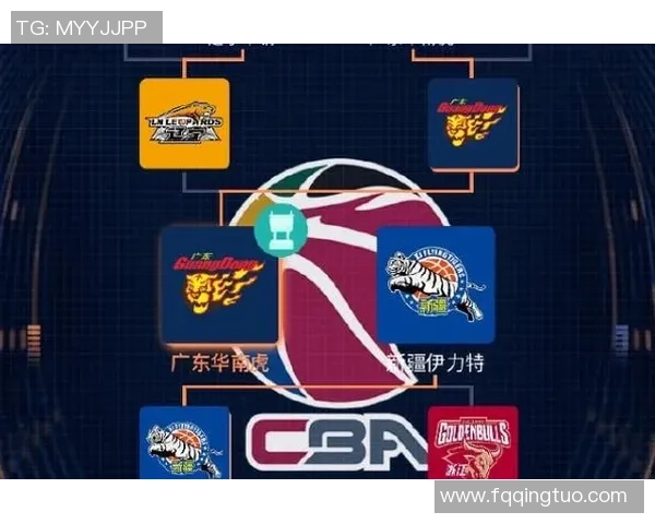 2013年CBA季后赛北京队与辽宁队激战回顾与精彩瞬间分析